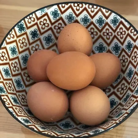 Alojamento de Acomodação e Pequeno-almoço 315 Via Roma Centro Palermo